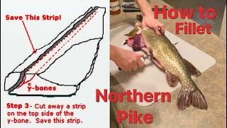 FAST and Boneless Northern Pike Filleting Method