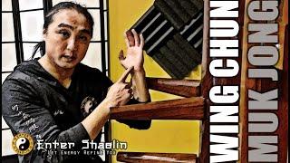 Wing Chun Wooden Dummy Drills |  Pop It Don't Stop It