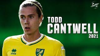 Todd Cantwell 2021 ► Amazing Skills, Assists & Goals -  Norwich City | HD