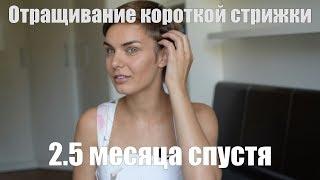 ОТРАЩИВАНИЕ КОРОТКОЙ СТРИЖКИ! 2.5 МЕСЯЦА СПУСТЯ!️ПОЭТАПНОЕ ОТРАЩИВАНИЕ ВОЛОС С НУЛЯ