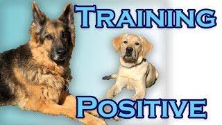 Welcome to Training Positive!