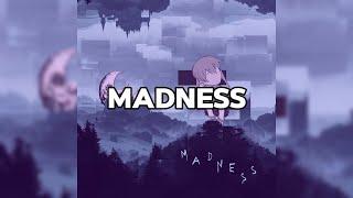 STIM - madness (Official Lyric Video)