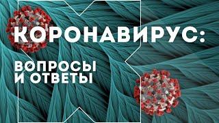 Чем отличается новый коронавирус от вируса гриппа — рубрика «Коронавирус: вопросы и ответы»