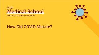 How Did COVID Mutate?