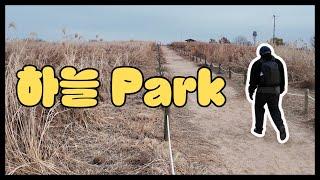 Should You Visit the Highest Park in Seoul? (하늘 Park)