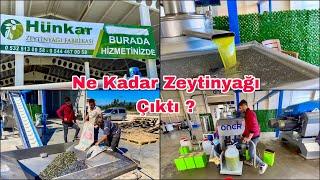 243 Kilo Zeytinden Bakın Kaç Kilo Zeytinyağı Çıktı ? Osmaniye Sumbas