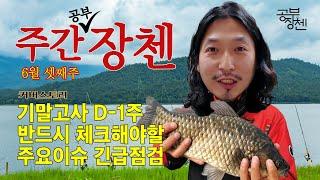 6월 셋째주 긴급이슈 나왔다!! 과목별 공부장첸 추천 포트폴리오 싹다 공개합니다!!