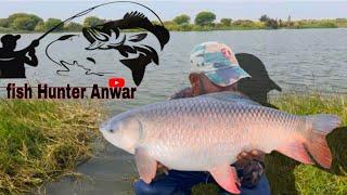 Flout Fishing Tips And Tricks | River Flout Fishing Videos | Any River Fishing Techniques