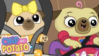 Chip's School Trip // Big Sister Chip | Chip and Potato | Cartoons For Kids | Wildbrain Wonder