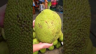 세계에서 제일 큰 과일?! 신기한 잭프루츠 자르기 - The biggest fruit?! Amazing Jackfruit Cutting Skills