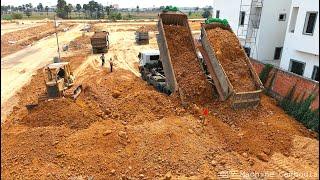 Incredible Double HYUNDAI 25TON Unloading Stone Together & Komatsu D58 Dozer Push Filling Land Step2