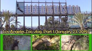 Los Angeles Zoo vlog, Part 1 (January 23, 2019)