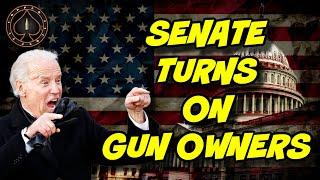 Chance At "Pro 2nd Amendment" Senate Is Over