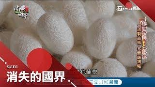 小時候必養的"蠶寶寶"竟可創造無限商機 土耳其獨特"製絲術"過程超像煮貢丸湯...｜記者 汪倩如 劉伯奇｜【消失的國界】20190206｜三立新聞台