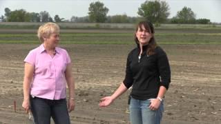 Taking Samples for Seedling Disease Diagnosis