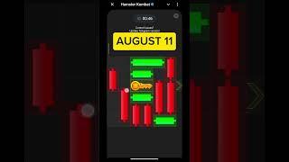 Hamster minigame solution August 11 |Hamster key game |11/8/2024|today|new #hamsterkombat