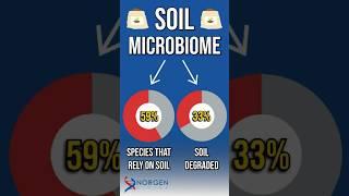 Soil Microbiome: The Hidden Ecosystem Keeping Us Alive! 