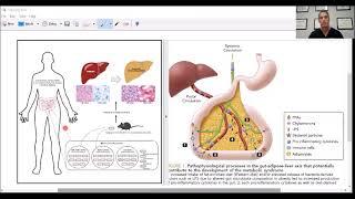 Non-Alcoholic Fatty Liver Disease (NAFLD) and the Gut-Liver Axis - Drunk Bugs