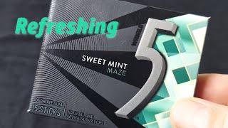 5 Gum Sweet Mint Maze Chewing Gum (Look at - Review)