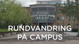 Campus i Umeå