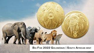 Big Five Goldmünze Elefant 2022 | Big 5 Serie II | Gold Coin South African Mint | Elephant 1 Unze oz