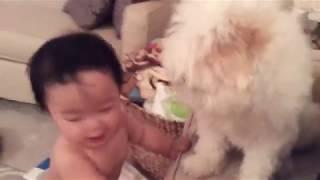 дети и собаки лучшие друзья!  kids and dogs are best friends!