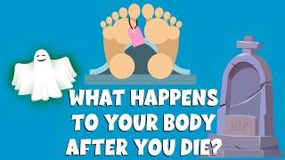 What happens to your body after you die | The Stages of Human Decomposition | Video for kids