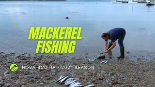 Mackerel Fishing From Shore | Nova Scotia, Canada (2021)