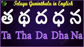 Tha Tha Dha Dha Na Guninthalu English | How to write త థ ద ధ న Guninthalu English |Learn #Guninthalu