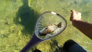 Chub fly fishing in an empty river