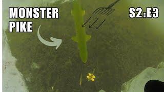 Spearfishing MONSTER Northern Pike Through the ICE! - S2:E3