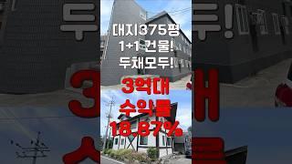 (10460) 천안다가구 올리모델링! 375평의 토지에 두건물을 모두다! 독채 주인세대, 18가구 투룸만있는 다가구! #천안아산건물 #천안건물 #건물매매 #급매 #반값매매