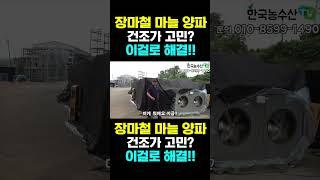 [한국농수산TV] 장마철 마늘 양파 건조고민? 차압식 건조기로 고민 해결
