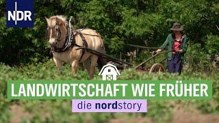 Altes Wissen neu im Norden für Ackerbau und Viehzucht entdeckt | die nordstory | NDR