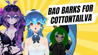 VTuber Clips | VTuber Bao barks for Cottontailva?