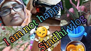 I am not happy /my daily routine 🫕🪴️/sindhi vlog 