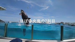 鴨川シーワルド・シャチ 前から2列目席カメラ映像！