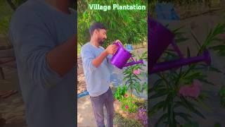 Mini Vlog Plantation #nature #ytshorts #flute #Shorts #farming #relaxingflute #birdsingingmusic