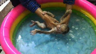 Baby Monkey Shin Takes a Relaxing HOT bath before Bed | Cute animal videos