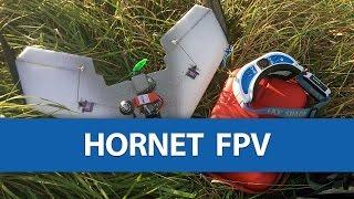 Hornet FPV Flying Wing 3rd Flight #RagTheNutsOff