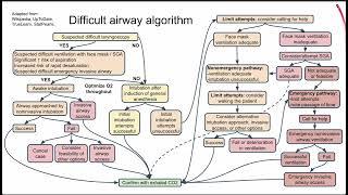 Difficult airway algorithm