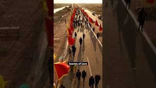 Journey of Love, Arbaeen Walk #najaf #karbala #arbaeen #chehlum #2024 #imamhussain #maula #abbas