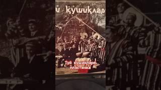 Туй кушиклари пластинка(оламан сотаман)(покупаю продаю)