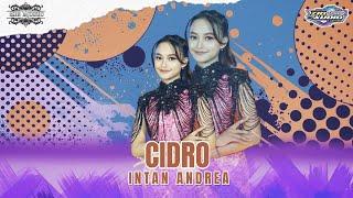 CIDRO - INTAN ANDREA - ZIO MUSIC