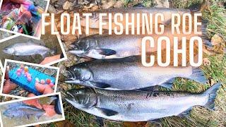 How to Float Fish Roe for River Run Coho Salmon