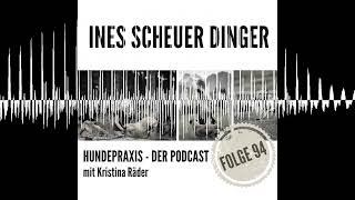 Jagen oder nicht jagen - das ist hier die Frage! - Hundepraxis - der Podcast