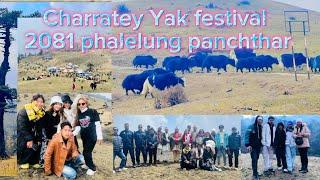 Char ratey 7th Yak festival 2081 lots of fun  & feeling so Wonderful with my gangYaahuu….🫶