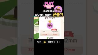휴양지에서 그렇게 안나온다는 @@을 잡았다고?? #플투 #playtogether #플레이투게더