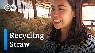 Thailand: Turning straw into gold | Global Ideas