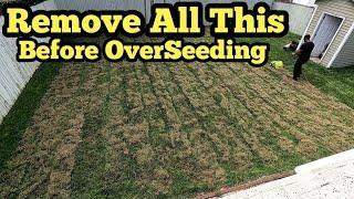 No Aerator?? No Problem Use This Method Instead To Overseed Your Lawn